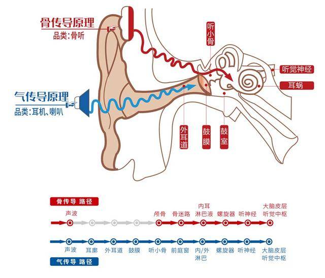 2023全网骨传导耳机选购攻略，一篇教会你选购骨传导耳机