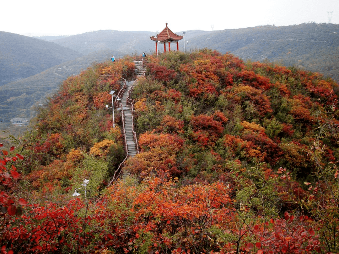 假期去哪<strong></p>
<p>来澳洲去哪</strong>？来晋城寻“晋”味~