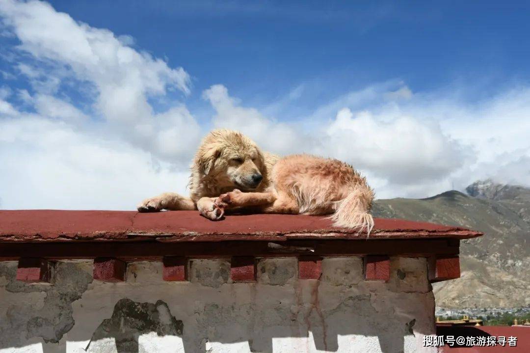 走<strong></p>
<p>去澳大利亚旅游</strong>，去西藏，旅游攻略