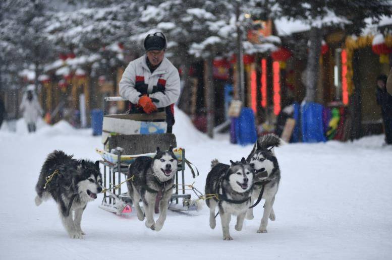 哈尔滨什么时候去旅游合适-几月去哈尔滨旅行最好 雪乡旅游攻略